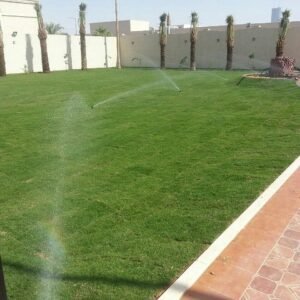 عشب طبيعي